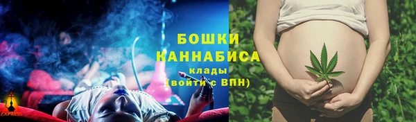 крисы Братск
