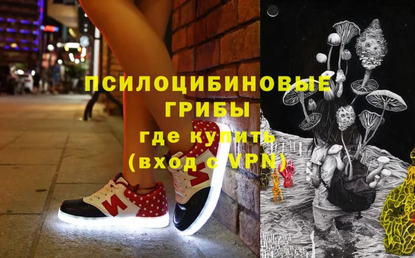 крисы Братск