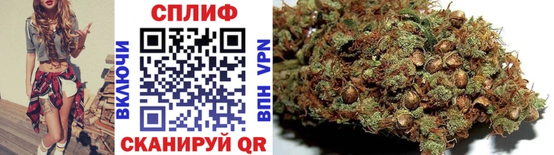 даркнет сайт  Белая Холуница  Шишки марихуана White Widow 